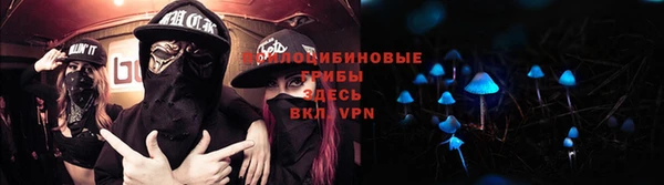 ECSTASY Абаза