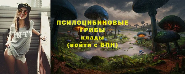 ECSTASY Абаза