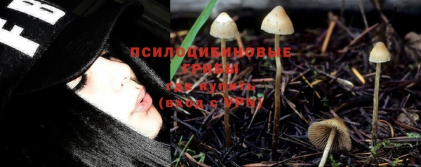 ECSTASY Абаза